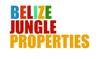 Belize Jungle Properties